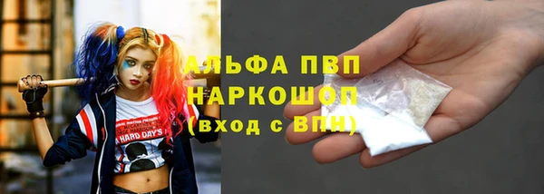 прущие грибы Арсеньев