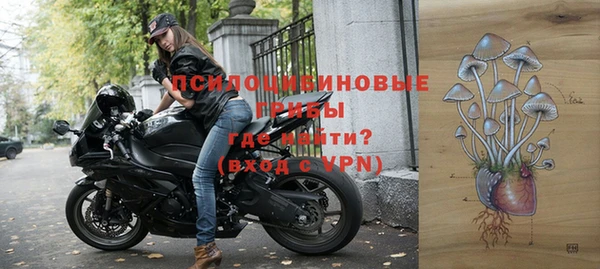 прущие грибы Арсеньев