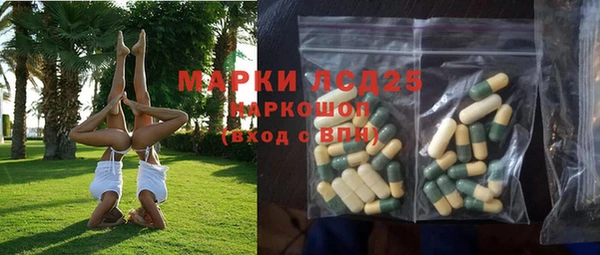 прущие грибы Арсеньев