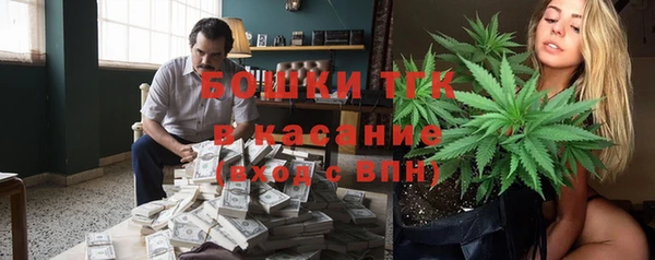 прущие грибы Арсеньев